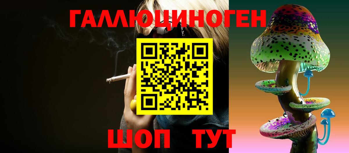Псилоцибиновые грибы Cubensis Ефремов